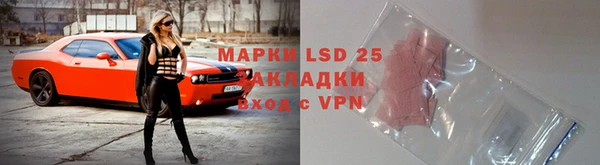 сатива Осташков